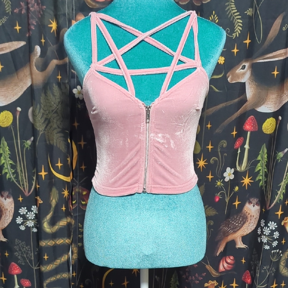 Killstar Lost In Sin Pink Velvet Top